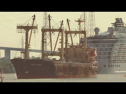 Fascinating Ship Spotting with All Shapes and Sizes #shipspotting