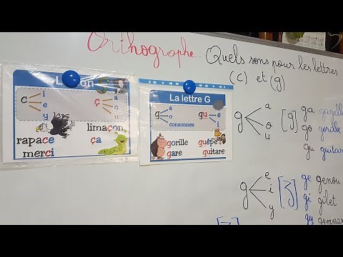 Orthographe : Quels sons pour les lettres (c) et (g) pages 24 et 25 manuel et 19 cahier d'exercices