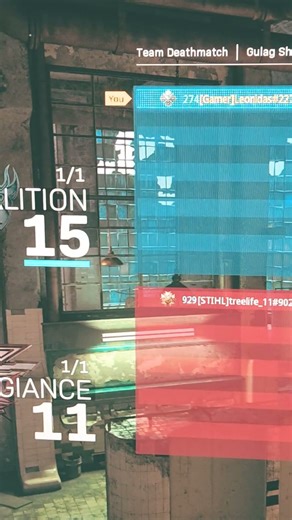 Modern Warfare Final Kill (Part 1)