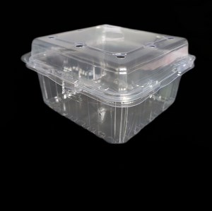 [Hot Item] Square Clamshell Blister Packaging Tray Food Container Meat/ Vegetable /Fruit Box For Cherry