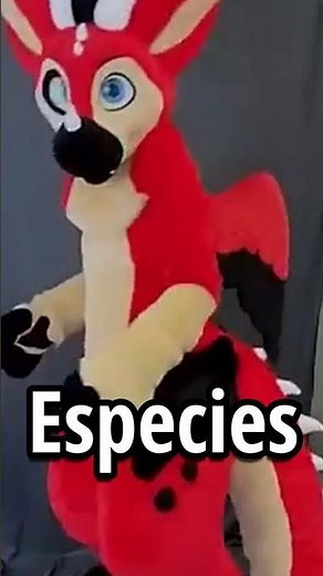 ALL furry species EXPLAINED in 1 minute 🐾🔥