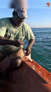 7.5K views · 52 reactions | Catching Vermillion Snapper in the Sea #fishing #fishingvideos #fishingtime | Neerulagam | Facebook