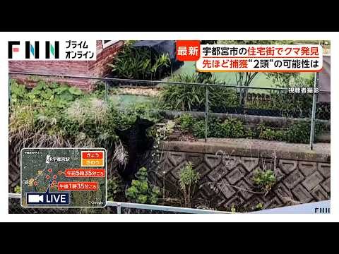 住宅敷地内にクマ…麻酔銃で捕獲 “複数”の可能性を専門家「同時期に2頭が入るのは難しい」栃木・宇都宮市（2026年06月09日）