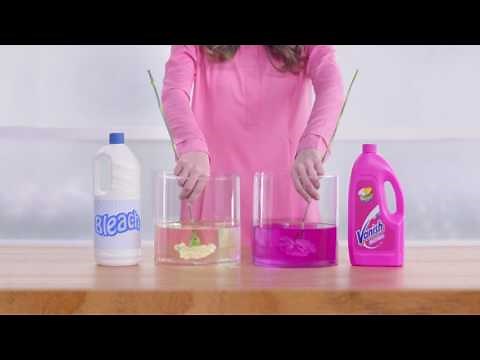 Vanish Stain Removal