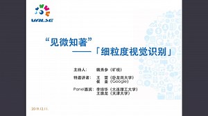 [ValseWebinar] 见微知著——细粒度视觉识别