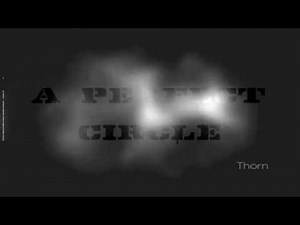 A PERFECT CIRCLE - PET (LYRICS + HD)