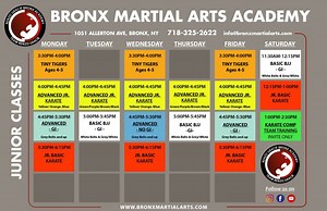Karate & Jiu-Jitsu for Kids | Bronx Martial Arts
