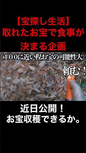 大人の宝探しゲーム。取れたお宝で生活が決まる企画#宝探し #お金 #トレジャーハンター #金属探知機 #shorts #metaldetector