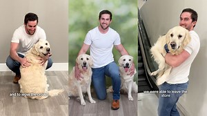 Leo and his little brother, Louie, were taken to a department store for a dog photo shoot. They had quite the adventure riding the magic box, posing for the camera and strutting their stuff. | Leo the Cream