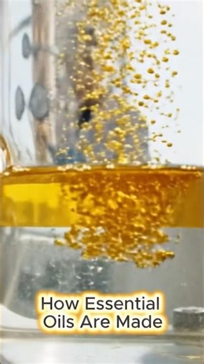 How Essential Oils Are Made #insidethefactory #howitsmade #essentialoils #aromatherapy