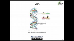 Introduction to High Throughput Sequencing