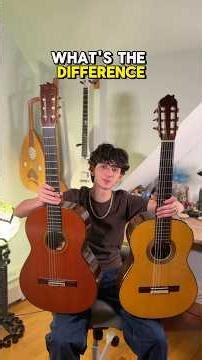 Classical vs Flamenco Guitar 🎶 Can you hear a difference? #shorts