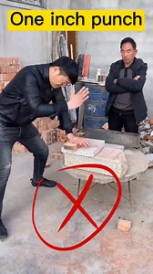 491K views · 10K reactions | The one-inch punch, pioneered by Bruce Lee. #KungFu | Wing Chun News | Facebook