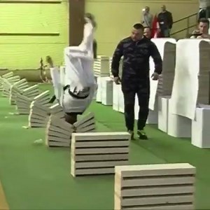 133K views · 361 shares | Don't try this at home...   (via Twitter/ODN) | theScore | Facebook