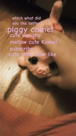 ☆☆☆☆☆☆☆☆☆☆☆☆☆☆☆