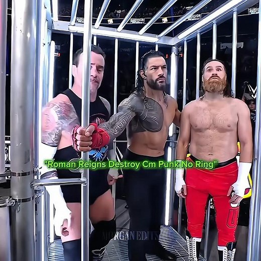 Roman Reigns Destroy Cm Punk No Ring || #wwe #shorts