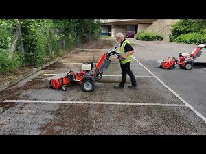 Moss removal: comparing three alternatives