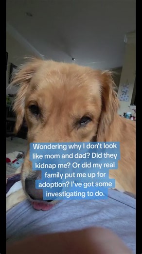 Uncovering the Truth About My Identity