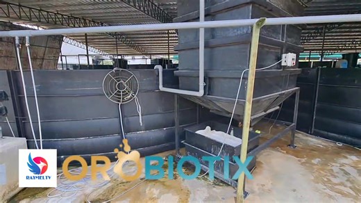 5.9K views · 81 reactions | COMING SOON: Indoor Shrimp Farming...