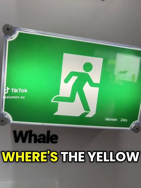 Elumen Whale Drop Test: No Switch Needed