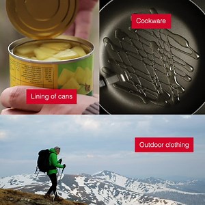 5.7K views · 31 reactions | Researcher Jenny Bruin and her team are exploring how everyday chemicals could be contributing to rising cases of diabetes. | Carleton University (Official) | Facebook