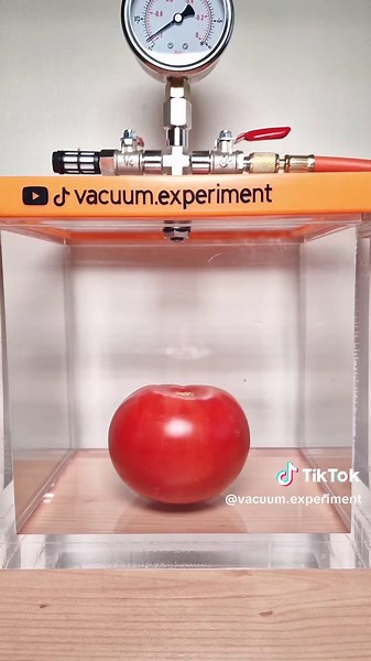 Vacuum Experiment on TikTok