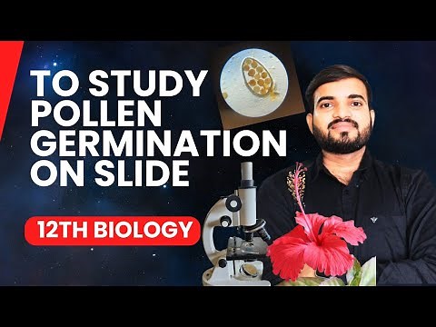 To Study Of Pollen Germination on Slide #biopractical ‪@a2zpractical991‬