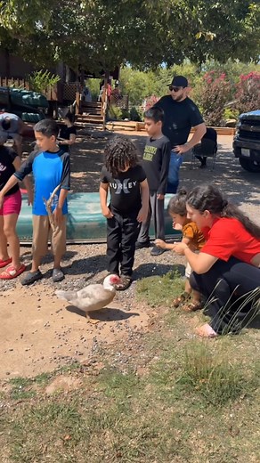 418K views · 26K reactions | ¡Nathan y Navany no lo pasaron nada bien en el campamento de verano! ️ 凉 | Vida de Famosos | Facebook
