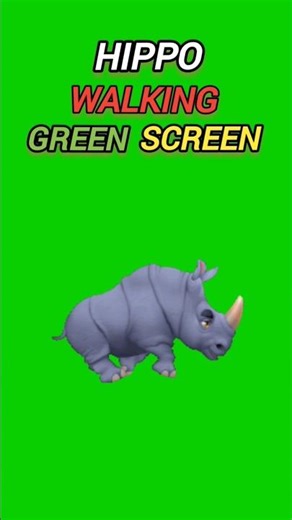 Hippo GreenScreen#greenscreenshorts #shortsviral #ytshorts #animalshorts #rhino #hippo @HadeeraPNGs