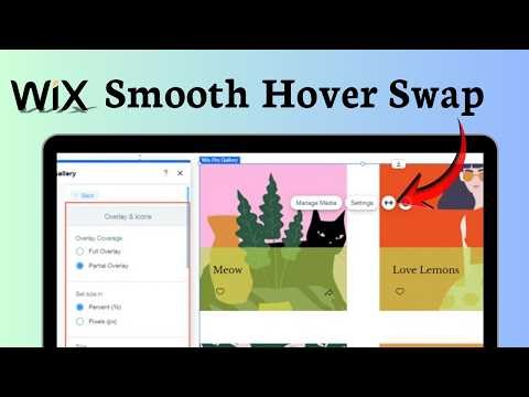 How to change image on hover in Wix (Interactive Visual)