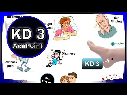 KD 3 - Acupuncture Point