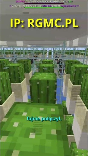 DOUBLE PLAYER FARM 🌾 #minecraft #shorts