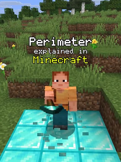 Perimeter explained in minecraft. #gcsemaths #gpa #mathhelp | Math