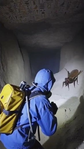 Revealing the secrets of our planet part 14! #storietime #deepdive #explore #underground #aliens