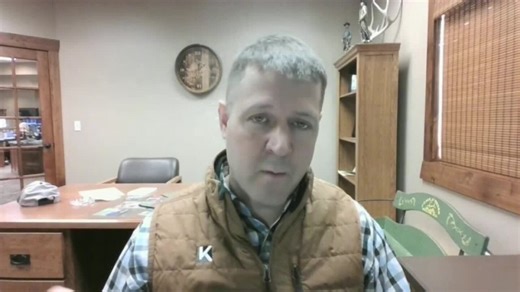 Strong Cash Trade Supports Cattle Futures as Feeders Lead: Grains Mixed