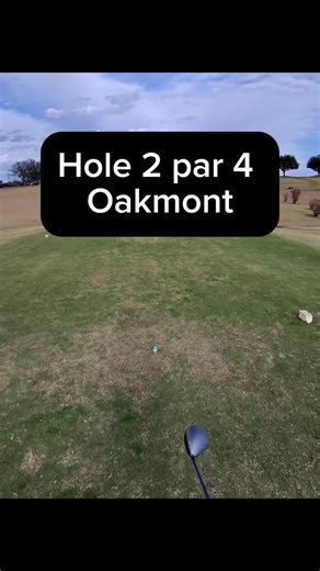 Golfing Challenges: Playing in Strong Wind Conditions