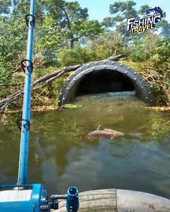 9 comments | Choose your bait, cast your line. Embark on your fishing adventure. Enjoy your Fishing Travel now! | Fishing Travel | Facebook