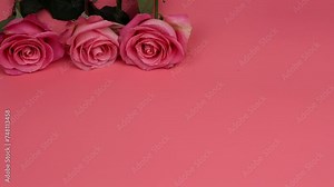 Pink roses on a peach background close-up, frontal view, zoom. Put the flowers on the table. Pink roses stacked in a row on a pink background. Beautiful romantic frame.