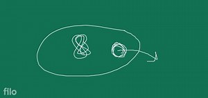 Q. 2. Diagrammatically represent the experimental steps in clon... | Filo