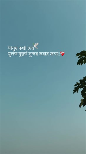 মানুষ কথা দেয় মূলত মূহুর্ত সুন্দর করার জন্য!!❤️‍🩹 #Foryou #foryourpage #fypシ #fara_anaam7 #Viraaal