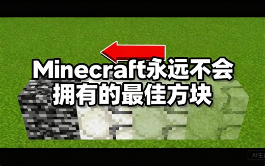 [中配]Minecraft永远不会拥有的最佳方块 - Purplers