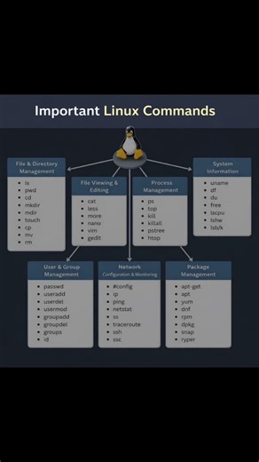 Important Linux Command