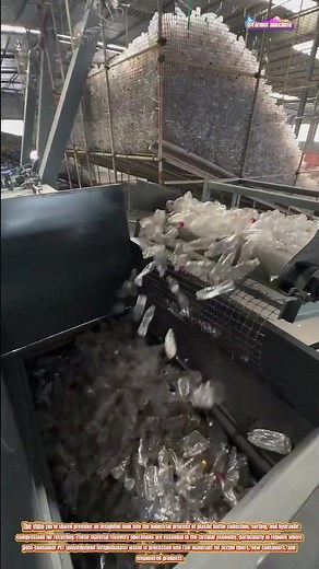 The Art of PET Bottle Recycling and Hydraulic Baling Operations