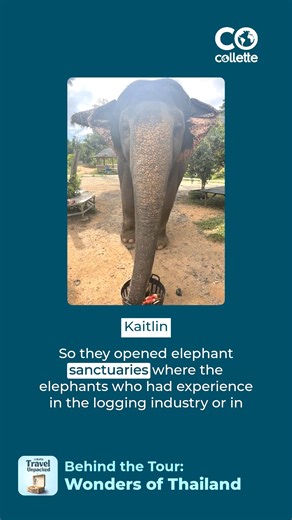 Thailand is The Land of Smiles, but for Collette employee Kaitlin, it was also the land of elephant pants, coconut ice cream, and foot massages. Hear more about her trip on our podcast, Travel Unpacked. https://bit.ly/3zA3nIB | Collette