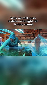 Why we still push iodine - and fight off boring clams! #saltwateraquarium #reeftank #IodineBenefits #MarineAquarium #AquariumLife #SaltwaterTank | SaltwaterAquarium.com