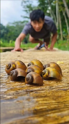Crying sadly because these snails cannot survive unless they are in the mud #snailsong