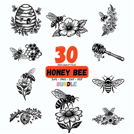 30 Honey Bee SVG Png DXF PDF Bundle for Cricut and Sublimation, Beehive Honeycomb Clipart, Floral Bee Vector, Bee Drawing Clip Art - Etsy