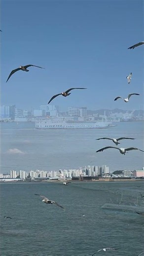 인천여행-월미도=영종도&배타고갈매기여행