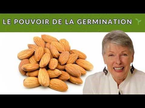 Amandes germées vs amandes ordinaires : La différence choquante!