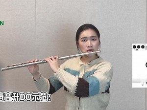 polysun使用教程